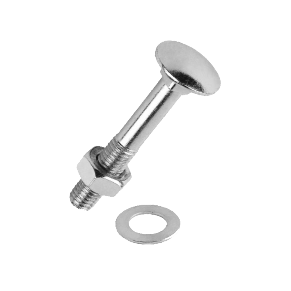 SS Carriage Bolt