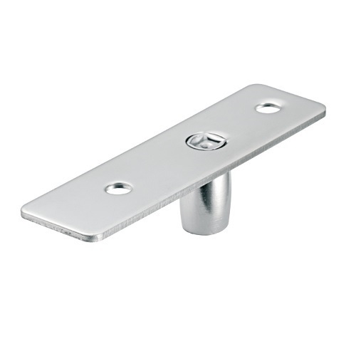 Hafele Top Pivot with SS Plate for Glass doors with Wooden Fixed Panel on Top SS Matt